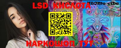 шишки Кингисепп