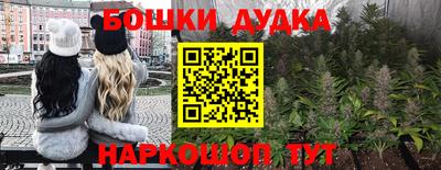 шишки Кингисепп