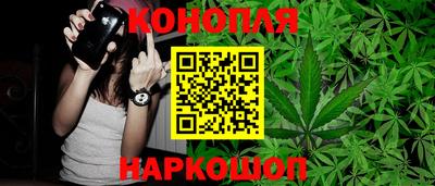 шишки Кингисепп