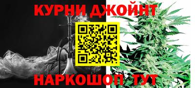 шишки Кингисепп