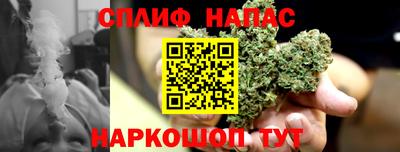шишки Кингисепп