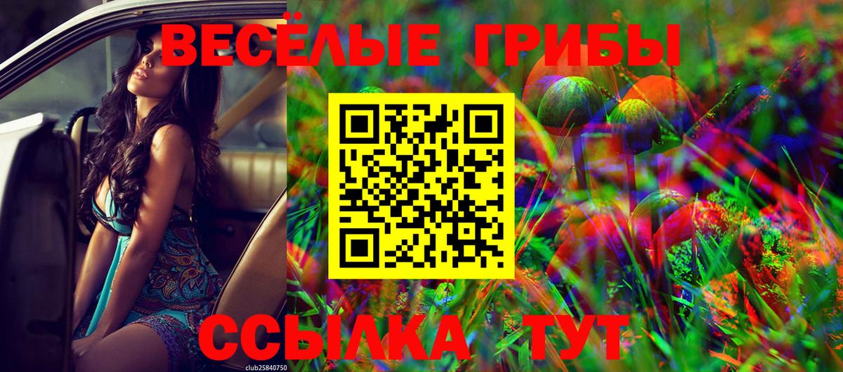 Галлюциногенные грибы прущие грибы  Вход с VPN  Галлюциногенные грибы ЛСД  Красный Сулин 